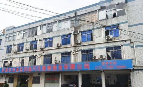 東莞一工廠遭遇“螞蟻搬家式”盜竊，12萬元清真食品不翼而飛，疑有內鬼參與